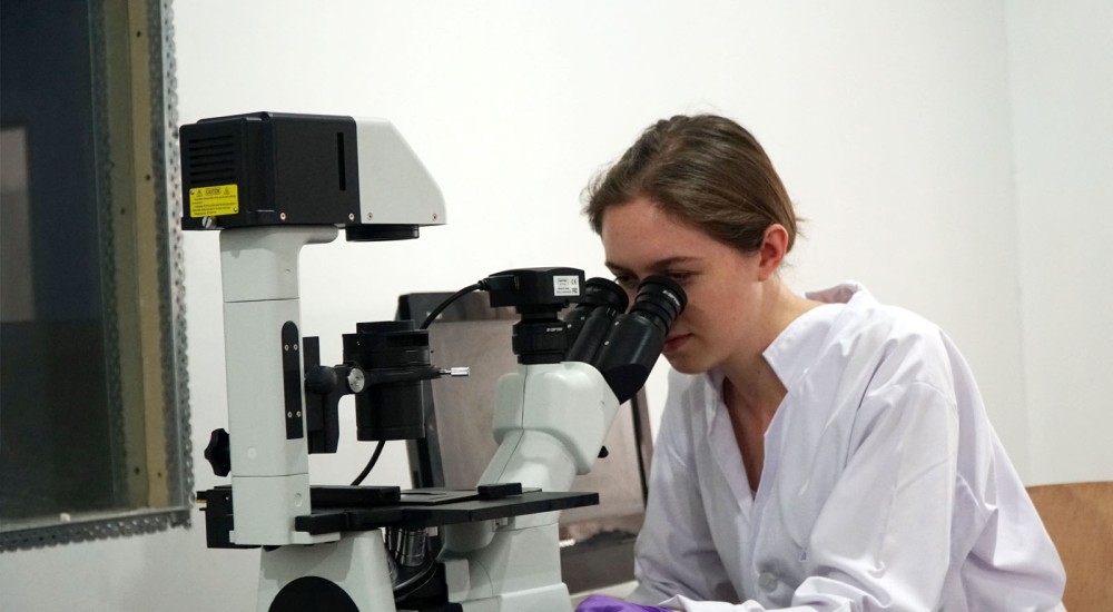 microbiology phd colleges in delhi